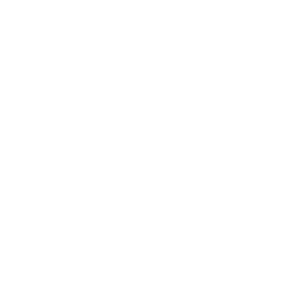 schettino